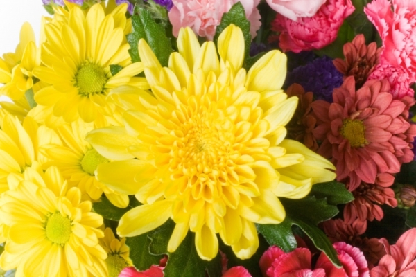 家族葬でお花を贈るにはどうすればいい？供花について詳しく解説！
